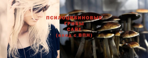 ешки Верея